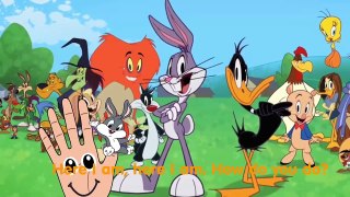 Looney Tunes Finger Family Collection Baby Looney Tunes Cartoon Animation Preschool Education