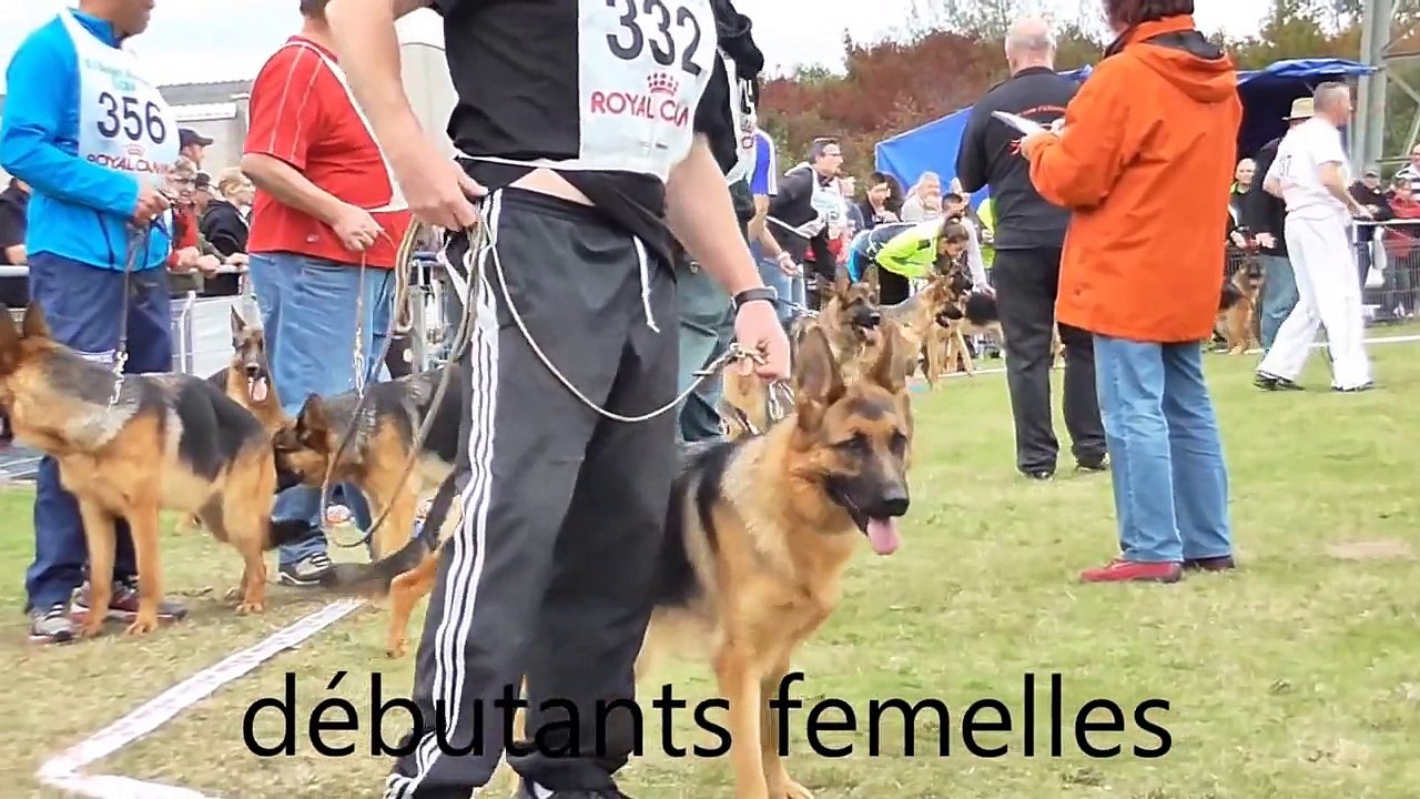 CHAMPIONNAT BERGERS ALLEMANDS S C B A  GRANDE SYNTHE 2013