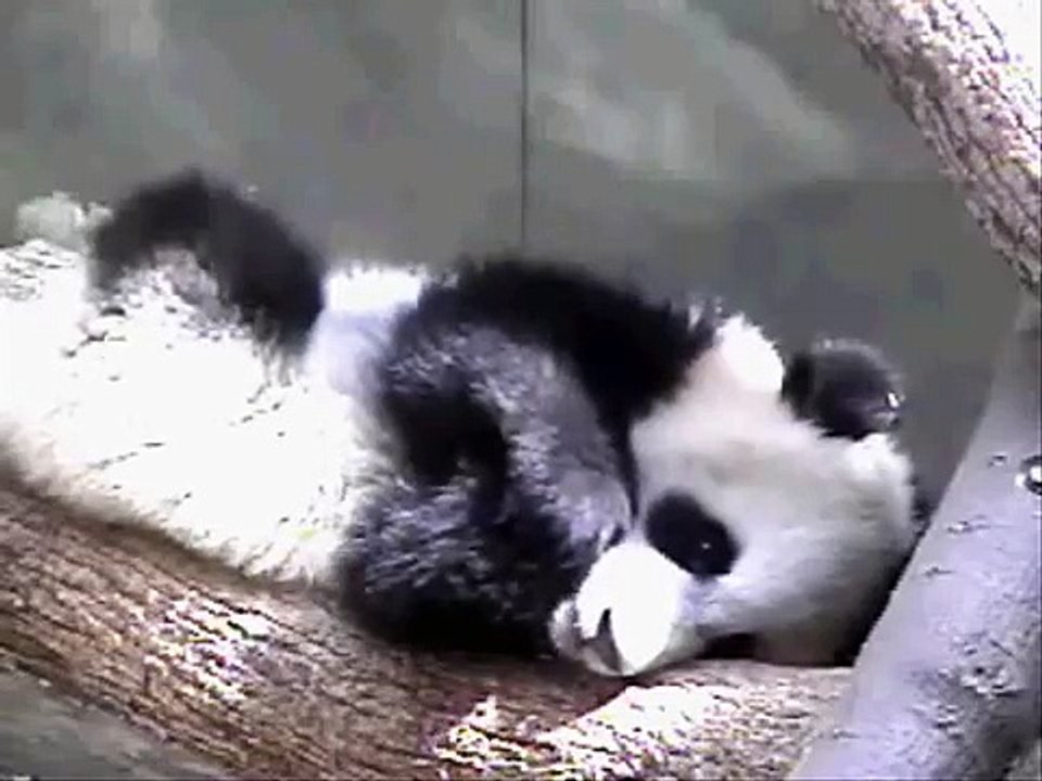 Mei Lan - Precious Silence