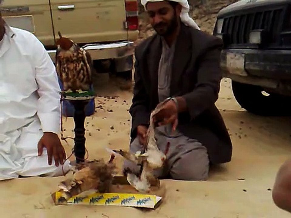 لقاء شباب العيون بعد صيد الحبارى