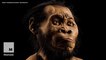 New human relative species discovered in South Africa