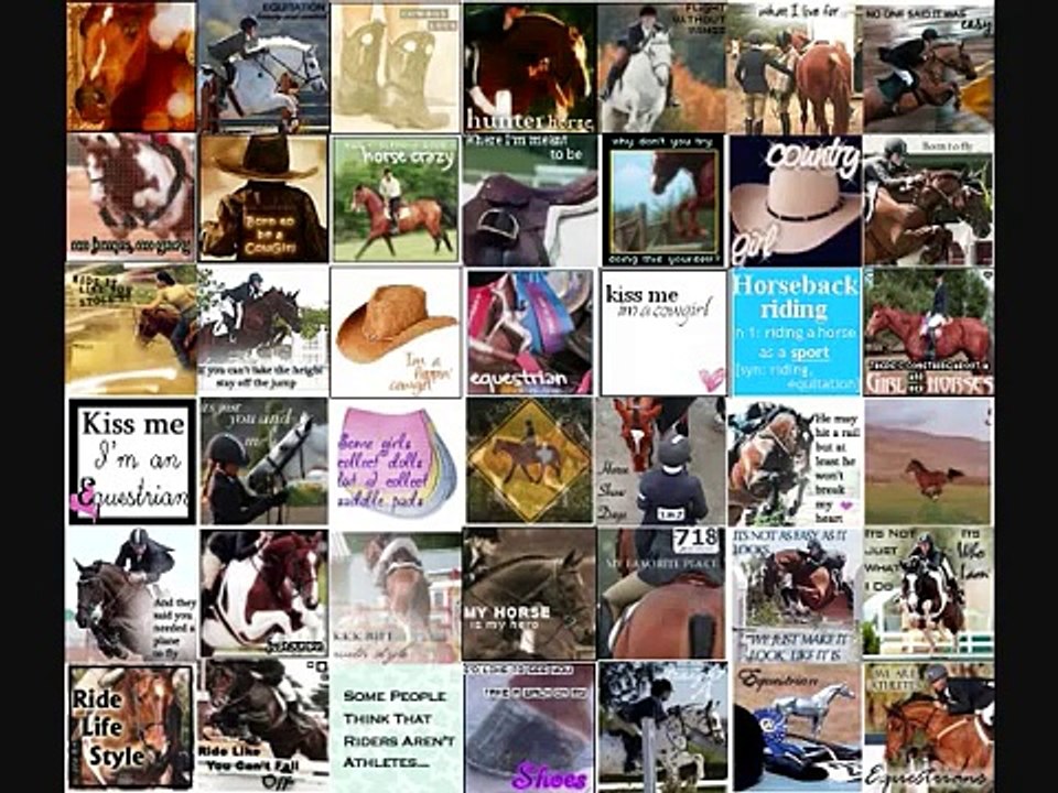 horse icons