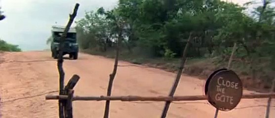 Bobbili raja copied scene from gods must be crazy