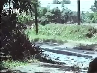 Guy Pounding two Interesting Tactic with one bullet XD