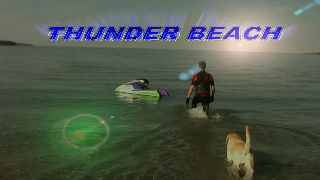 The Water Dog