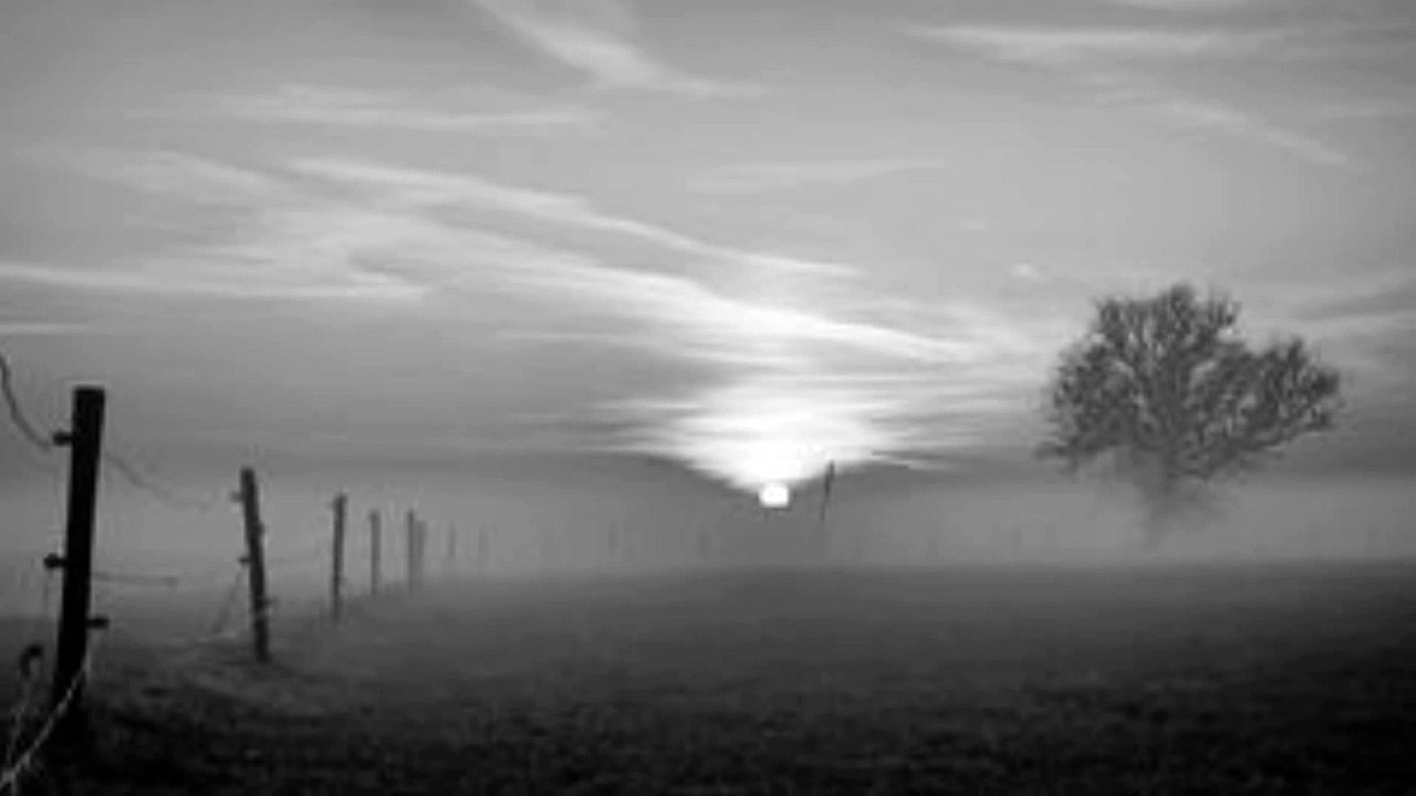 Dax Johnson - Beloved -