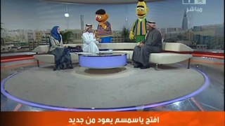 Saudi TV 2
