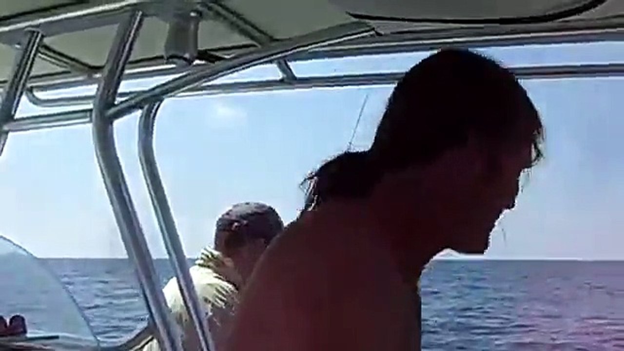 Jelly Fish Will Sting by the millions Panama City, Florida