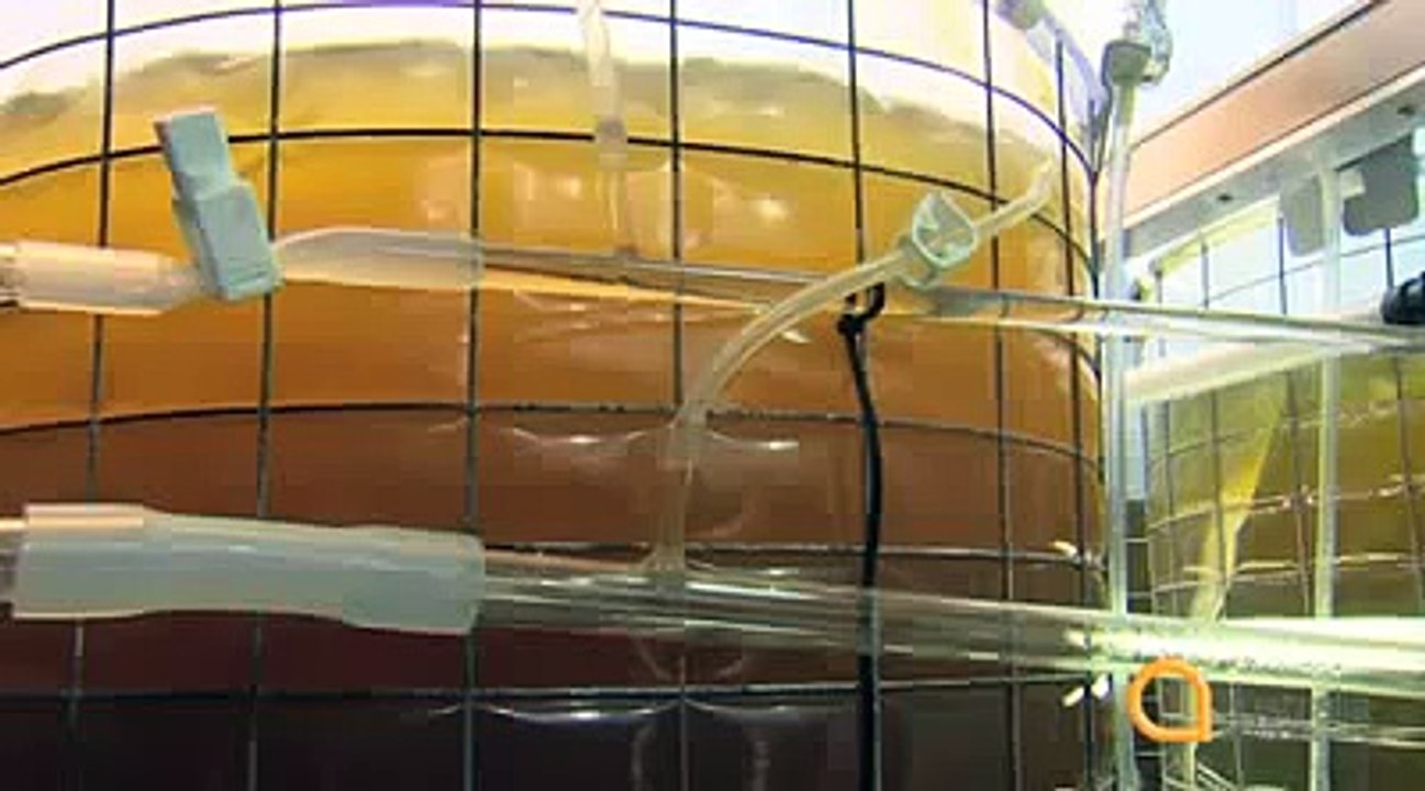 how to practice english listening skills 98