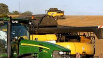 Big Harvest with New Holland Combines
