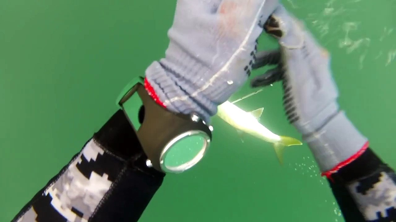超級打魚傳說4