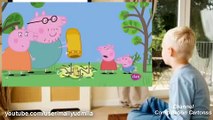 Peppa Pig - The Camping Holiday