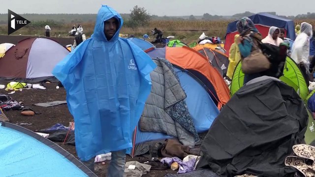 5 000 migrants se pressent à la frontière serbo-hongroise