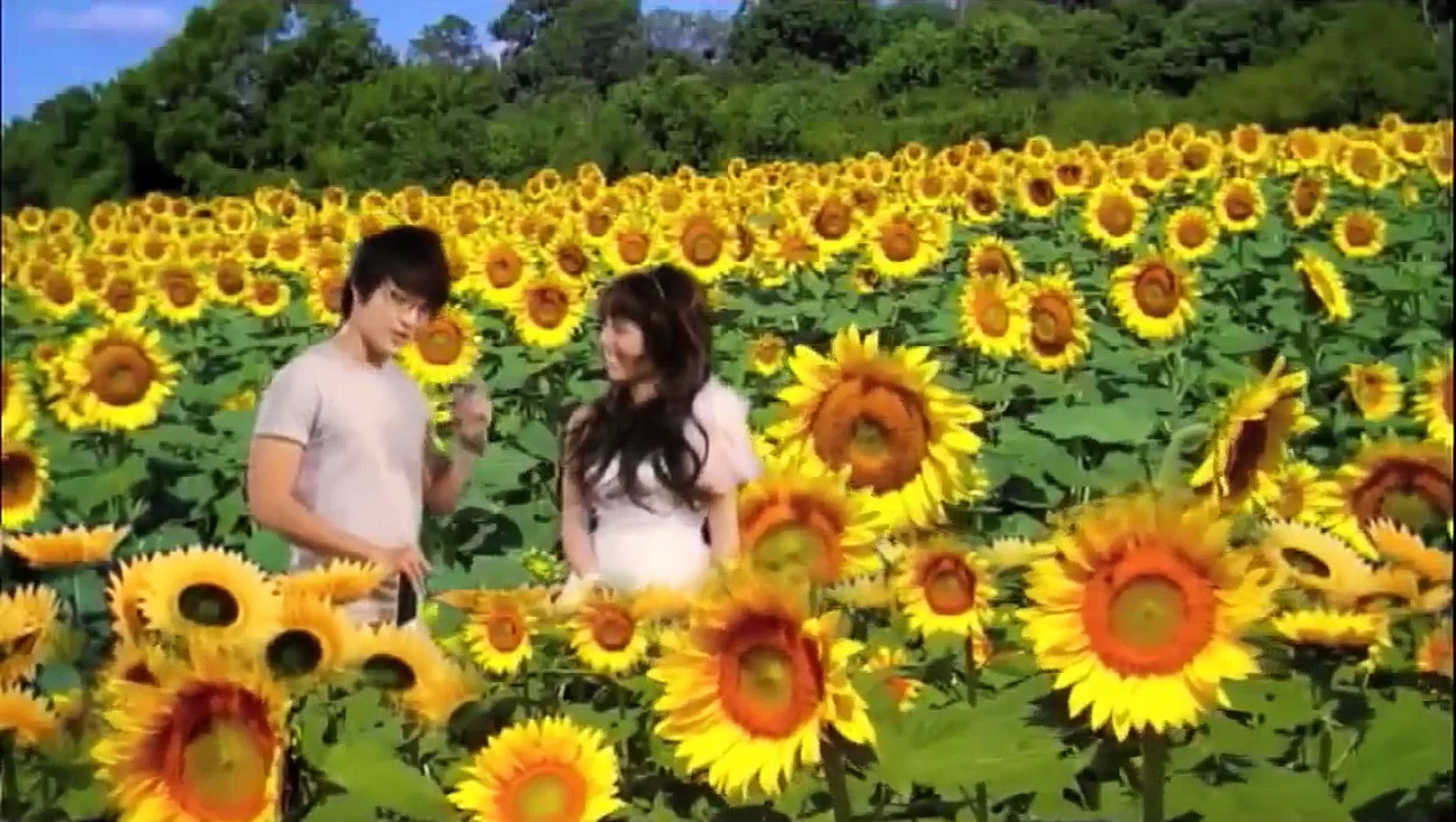 Đồi Hoa Mặt Trời - Huỳnh Nhã Lâm [ HD ] - Nhạc Việt Nam | Nhạc Trẻ