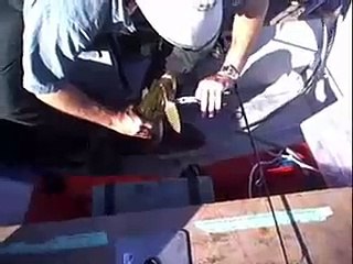 Big Northern Pike Fishing, No Net, Hand Grab, Nice Watch