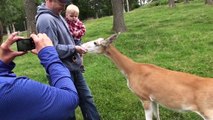Paul Bunyan's Animal Farm Ethan feeding the deer