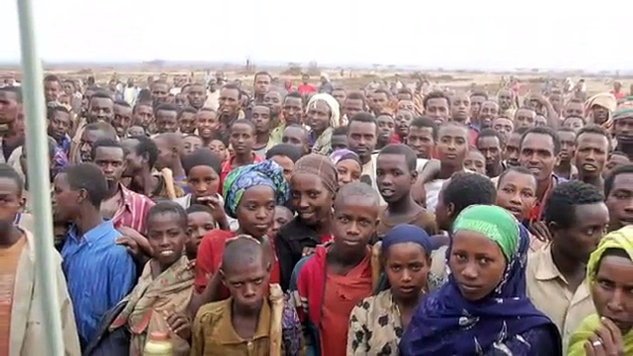 On the Farm in Ethiopia Part 1