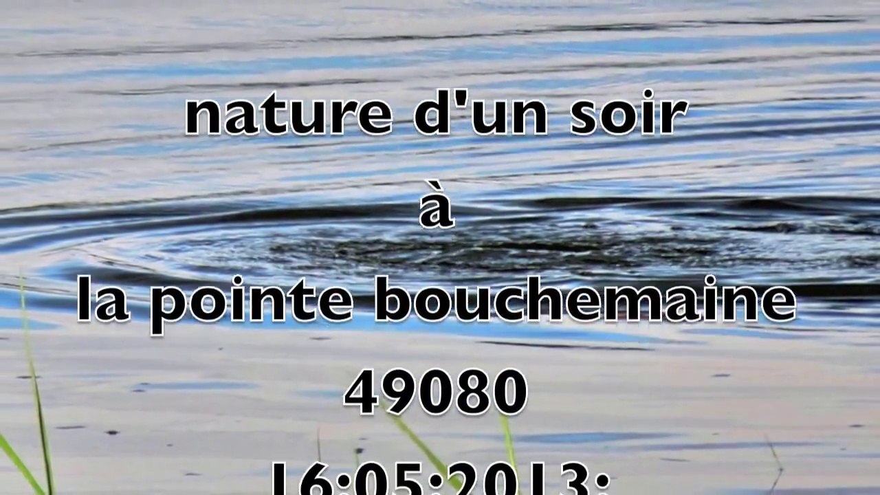 NATURE D 'UN  SOIR A LA POINTE 49080
