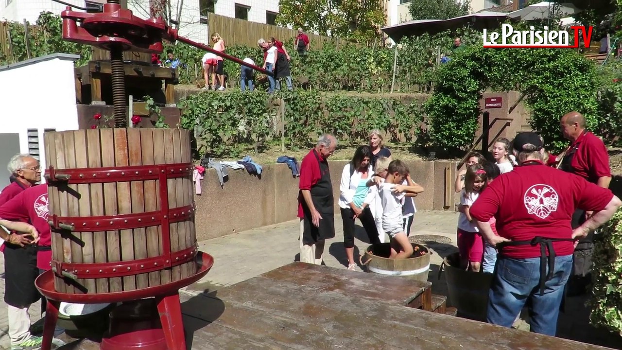 A Issy-les-Moulineaux, on vendange jeune