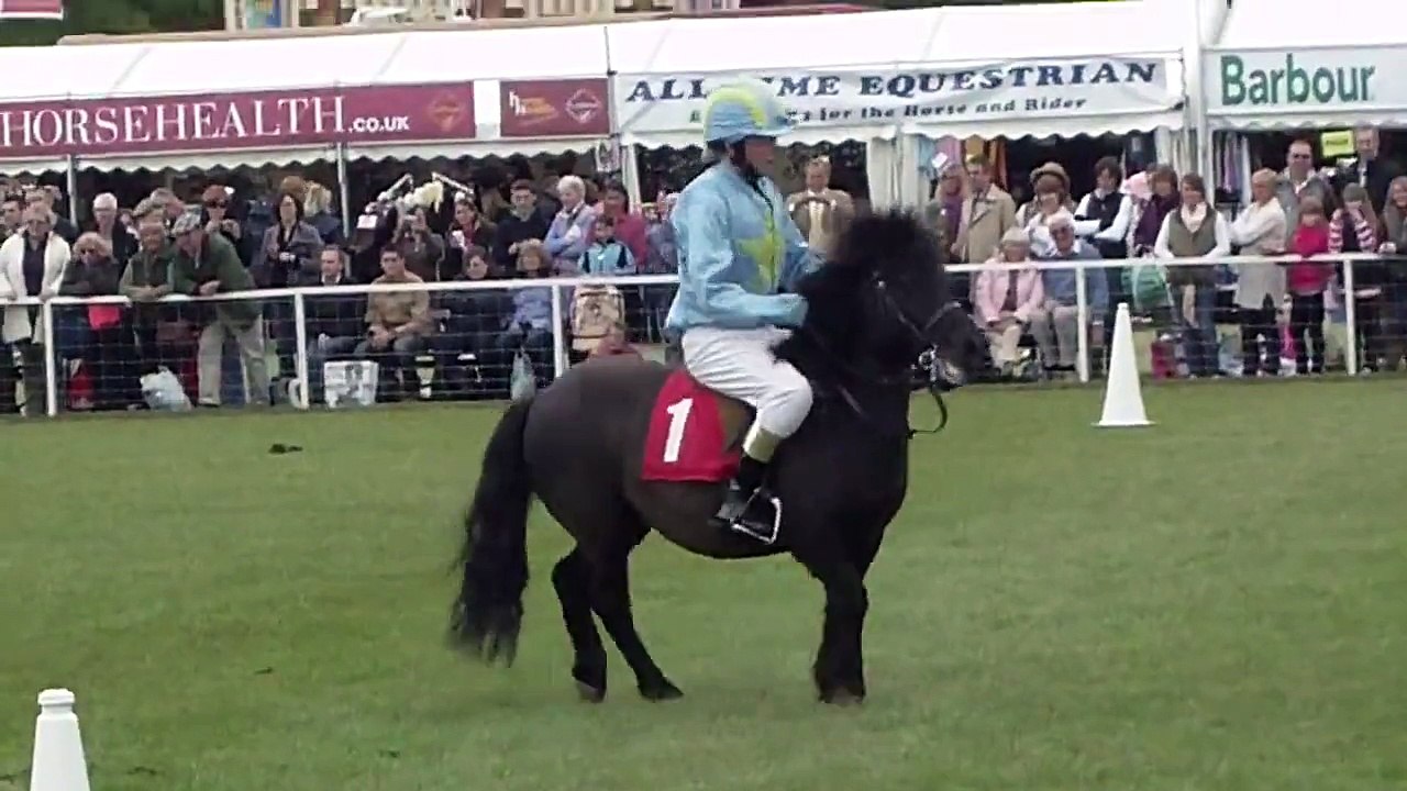 The Shetland Pony Grand National