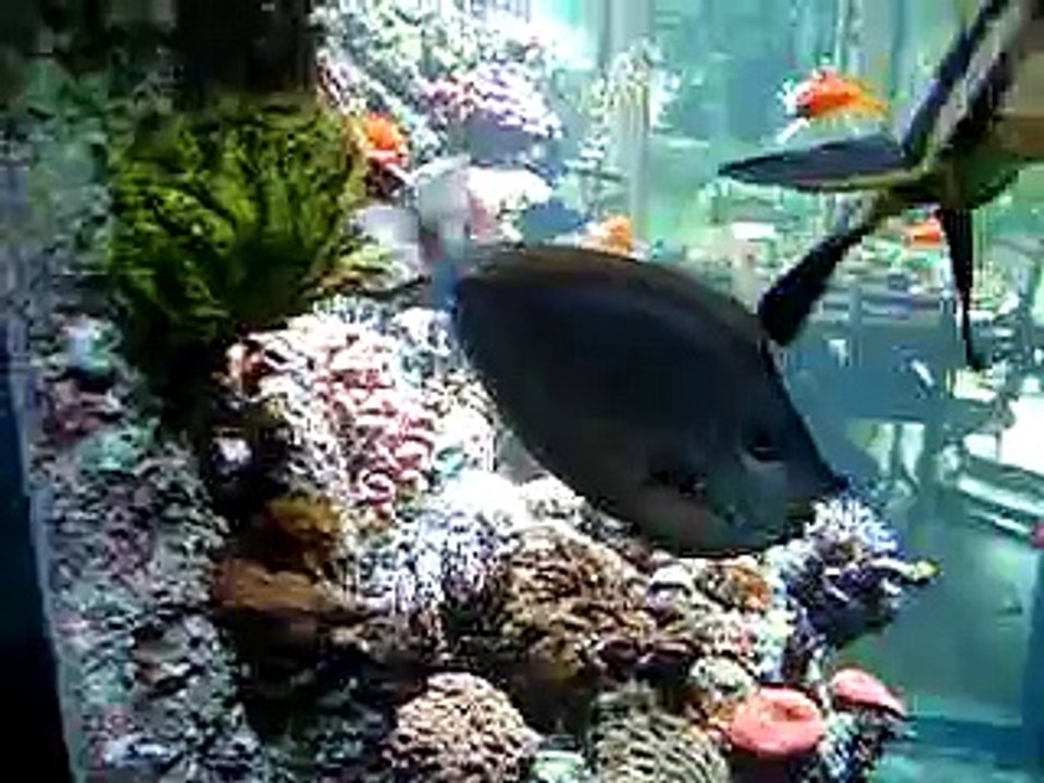 Tank after 17 Month.AVI