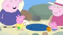 Peppa Pig en français - Les flaques d'eau de mer | Dessins-animés en francais pour les enfants
