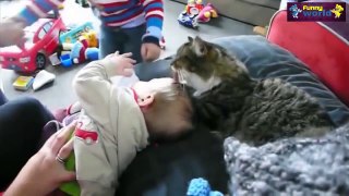 Cute Cat And Baby Videos Compilation 2015   Cat Baby 2015   720p - Funny Baby Videos