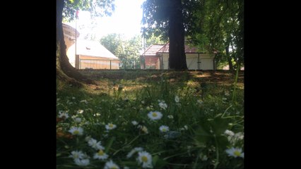 Wonderful moments live in Prague - 31/08/2015 - LIVE PRAGUE