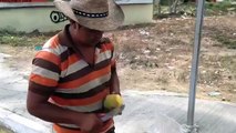 Mango art, Now that is a unique way of slicing AND eating a mango