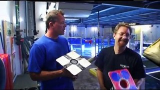 Blue Zoo TV - Episode 3 (Part 2): Feeding the sharks...