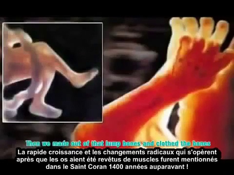 Lorsque La Science et les plus grands scientifique parlent du coran .(Miracle Du Coran)