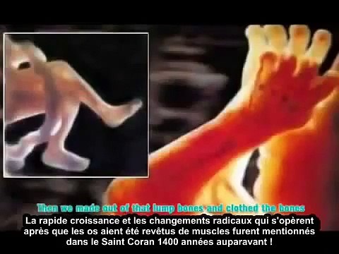 Lorsque La Science et les plus grands scientifique parlent du coran .(Miracle Du Coran)