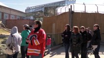 Calgary Zoo Gorillas vs Vancouver Canucks Jersey