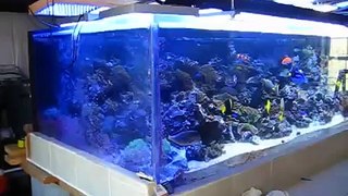1200 gallon reef aquarium with 3 Solatubes