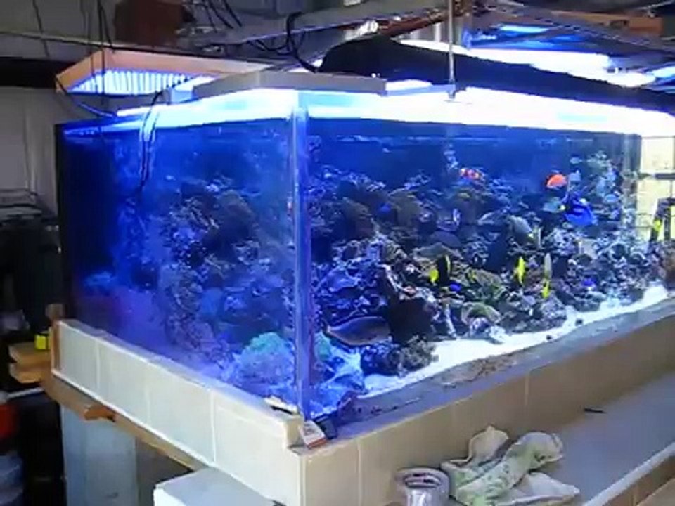 1200 gallon reef aquarium with 3 Solatubes