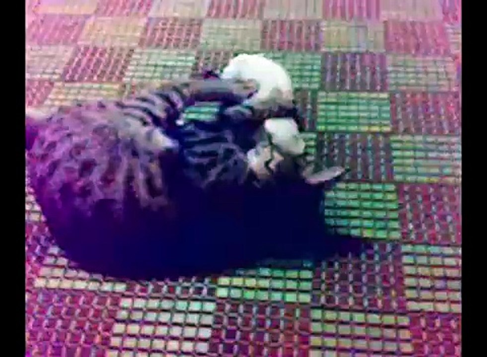 In the Arms of an Angel - {Memoir of Net}