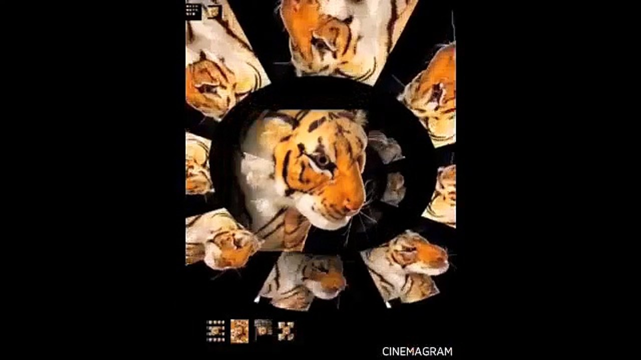 CINEMAGRAM
