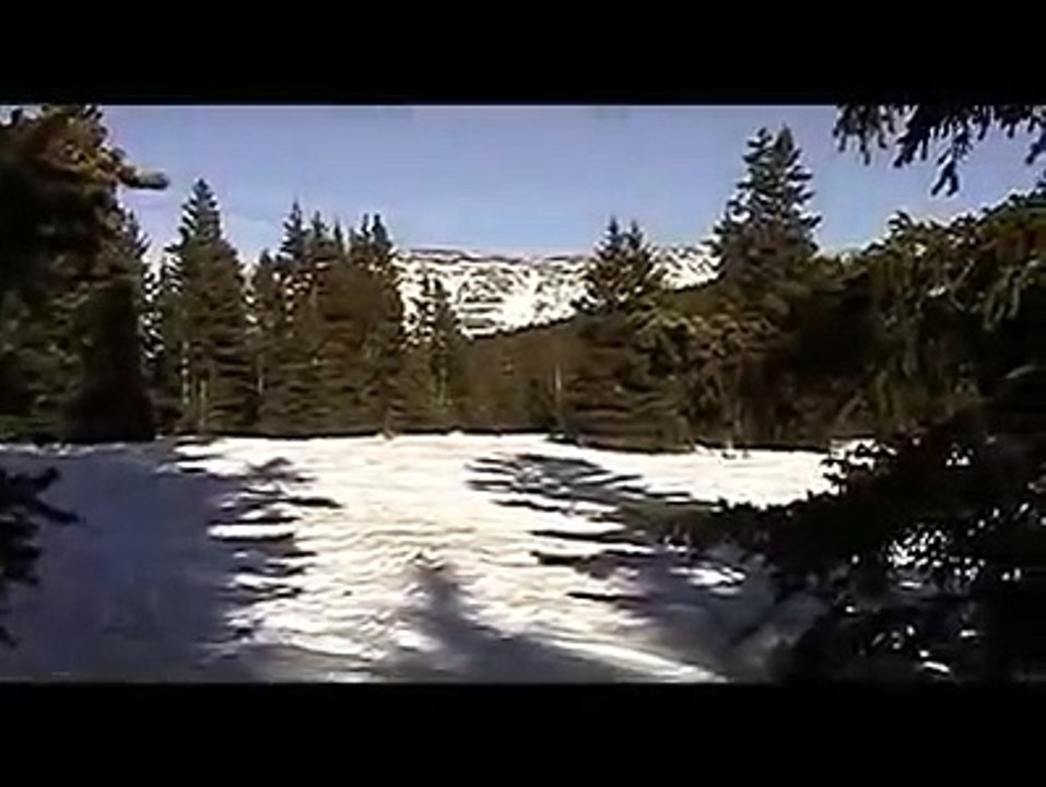 Trashcan Sinatras - Wild Mountainside