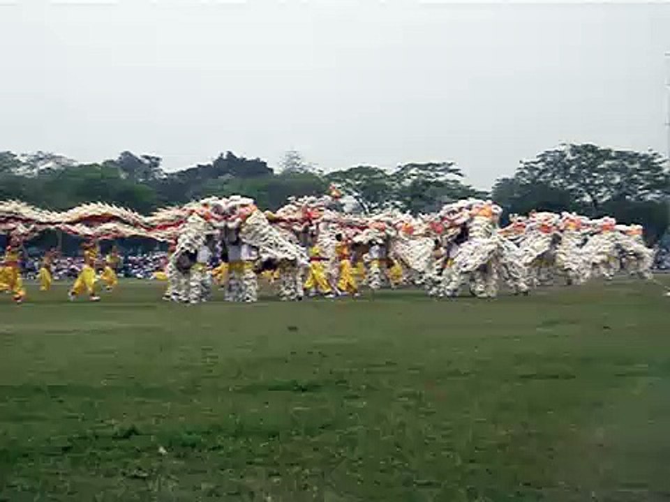 1/5/2008 石崗軍營