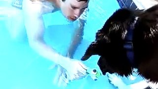 Dog holds breath underwater