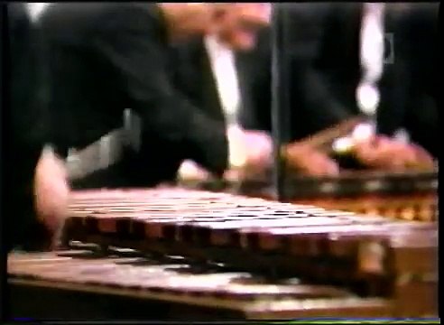 Marimba Nandayapa SONES CHIAPANECOS -1997-..mpg