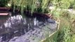 Pond Build in Basingstoke - Pond Liner and Underlay - still filling up