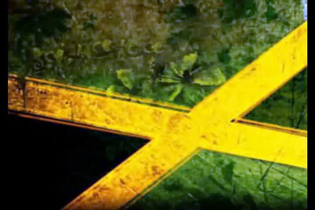 Alpha Blondy - Opération Coup De Poing