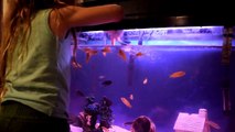 Feeding Fish with her fingers