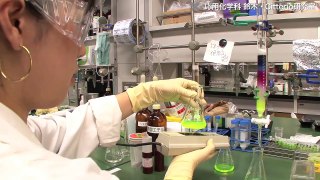 鈴木Citterio研究室 - 機能性色素による化学センサーの開発