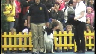 WORLD DOG  SHOW OBEDIENCE 2009 (MILES)