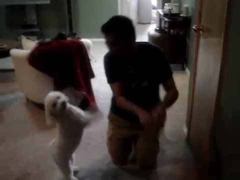 Nothing is Gonna stop us now!