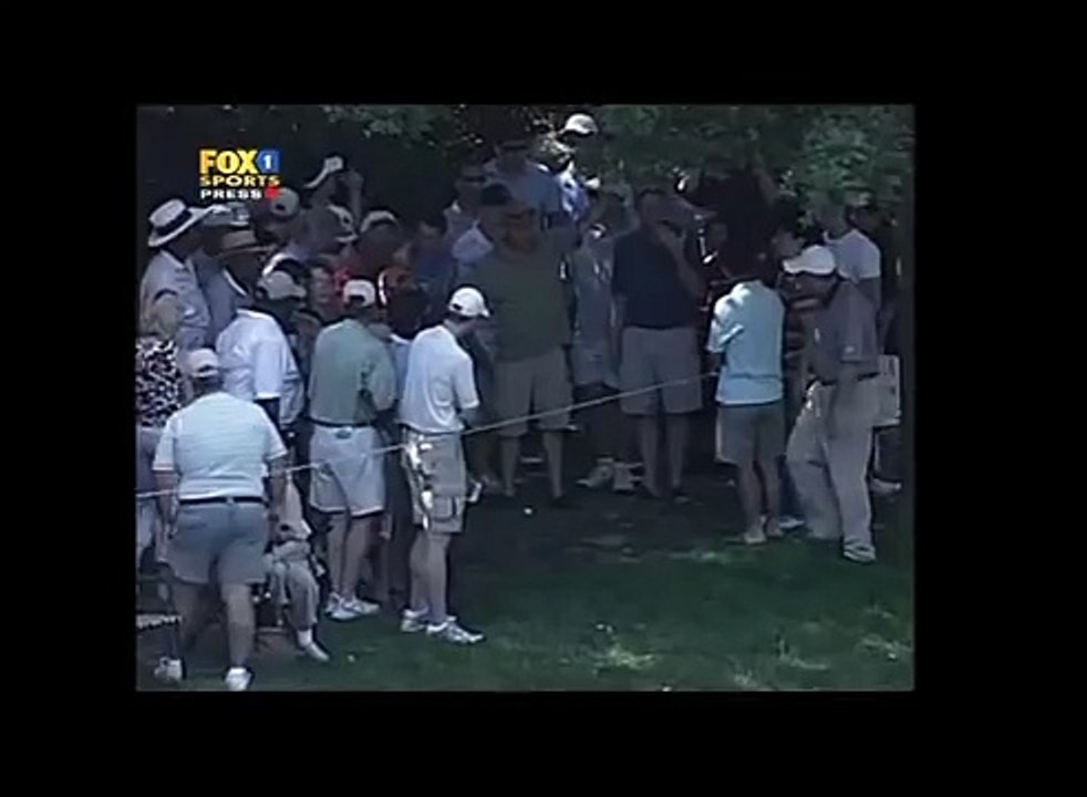 Tiger shanks!