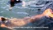 Real Mermaids - Real Mermaids Caught on Camera - Real Mermaid Evidence-Sightings