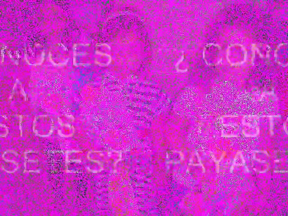 payasetes